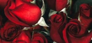 Detroit Romance Hotel Deals WIN
